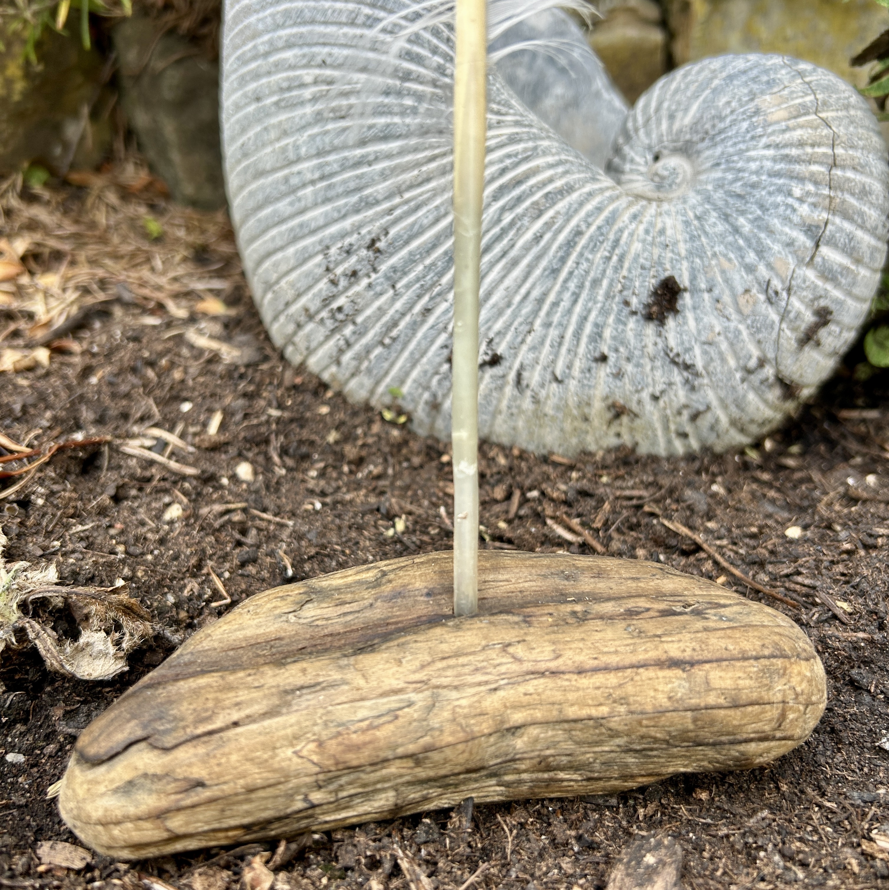 Stück Treibholz als Holzständer für eine Feder im Garten