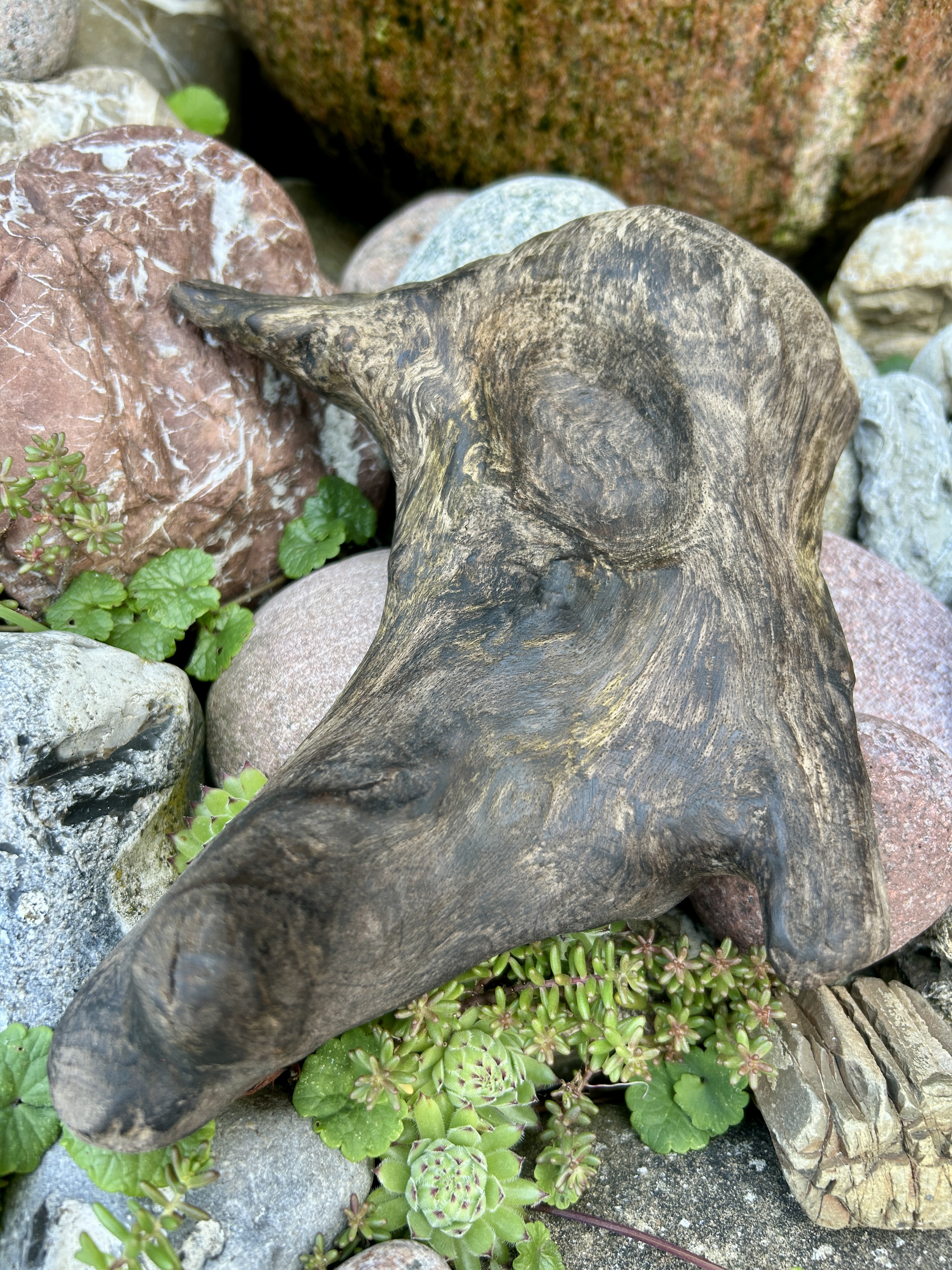 Treibholz vor Steinen liegend