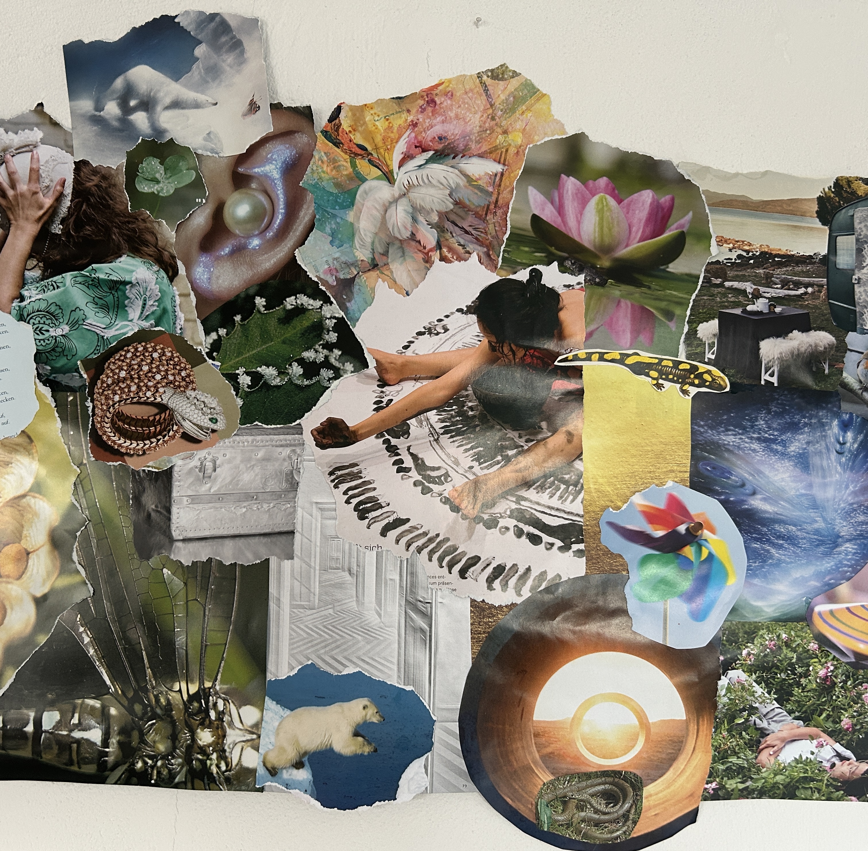 Collage