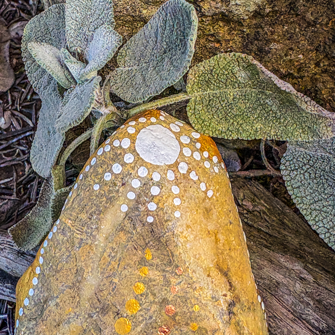 Nahaufnahme eines Steins bemalt mit einem Stern vor Blättern