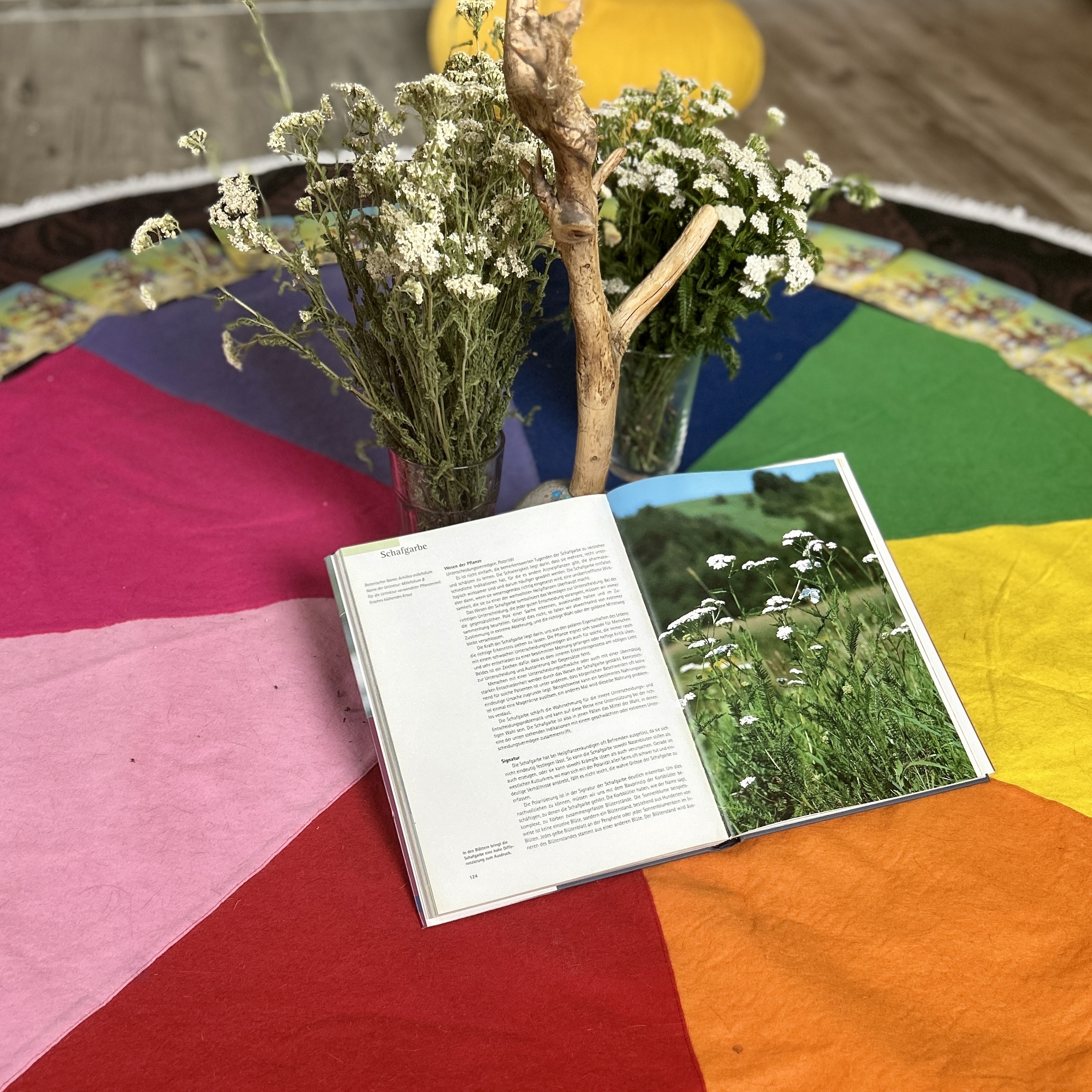 Pflanzen und Buch über Pflanze auf Tischdecke