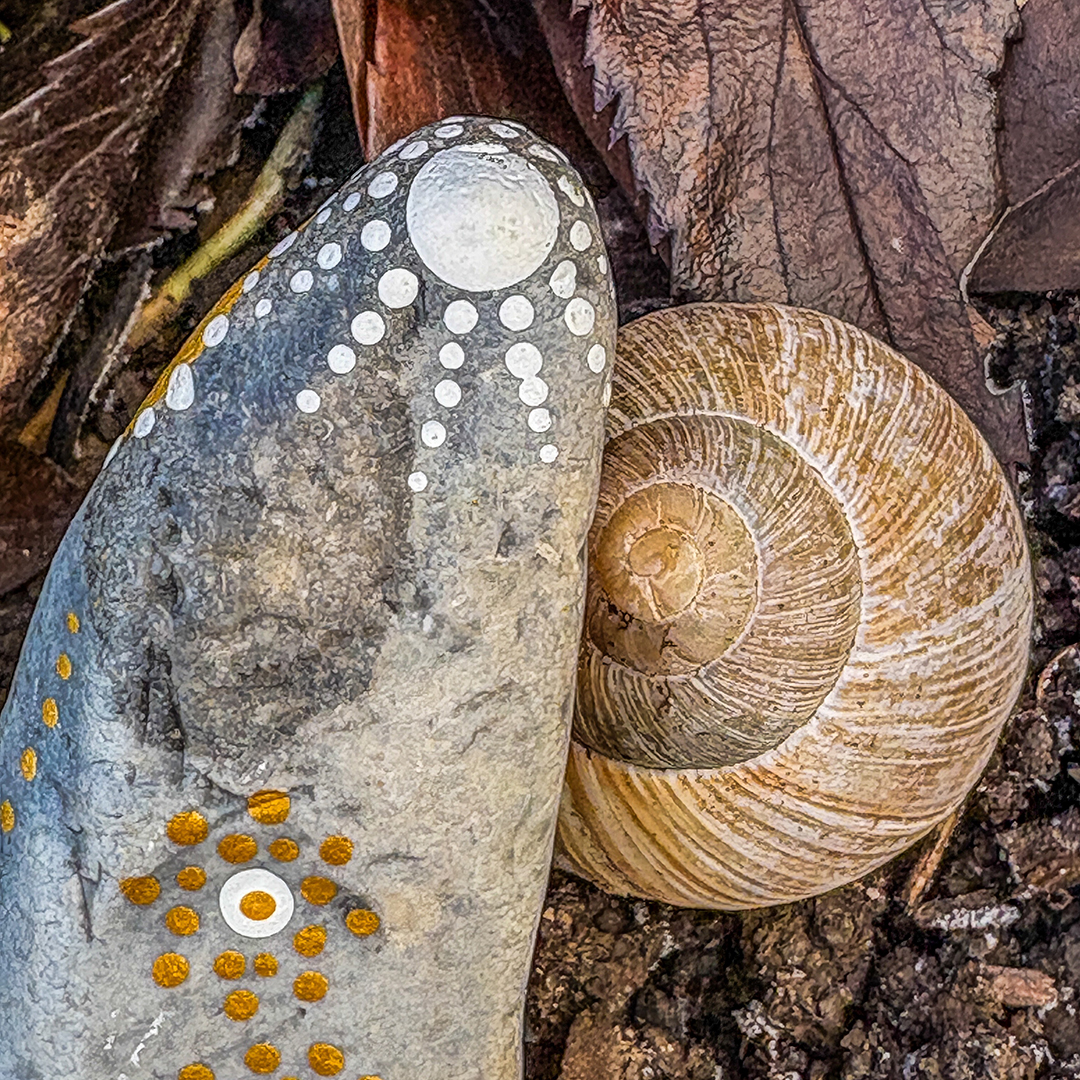 In Dot Painting Technik bemalter Stein neben Schneckenhaus