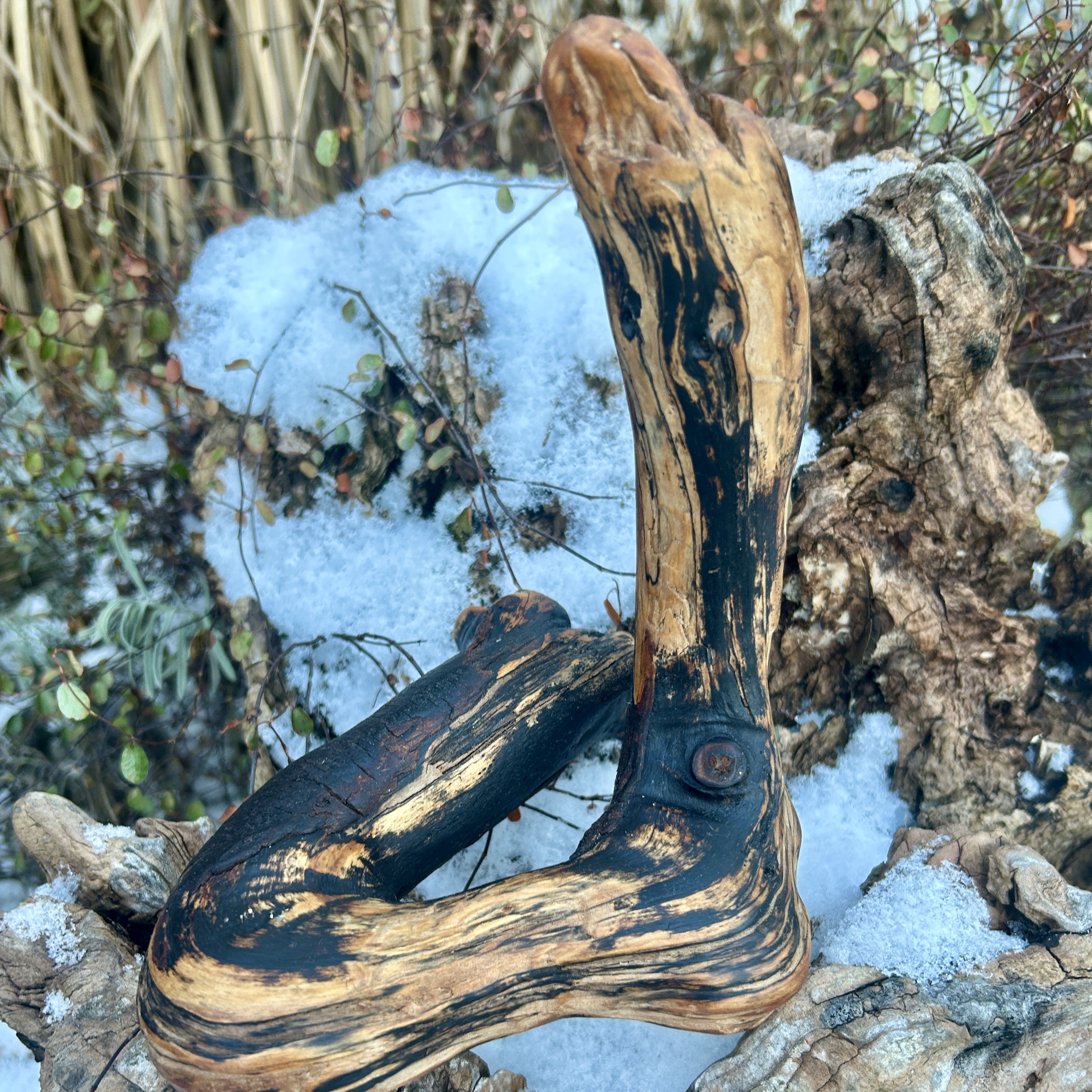 Geschliffenes und geöltes Treibholzstück