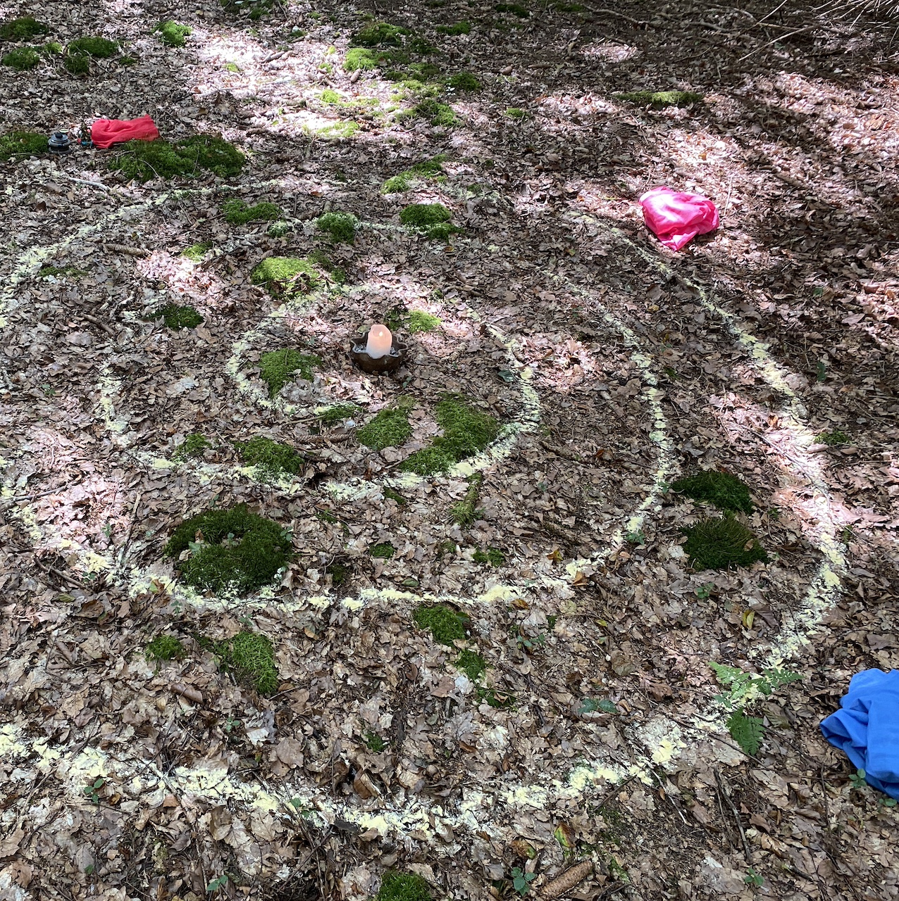 Spirale im Wald