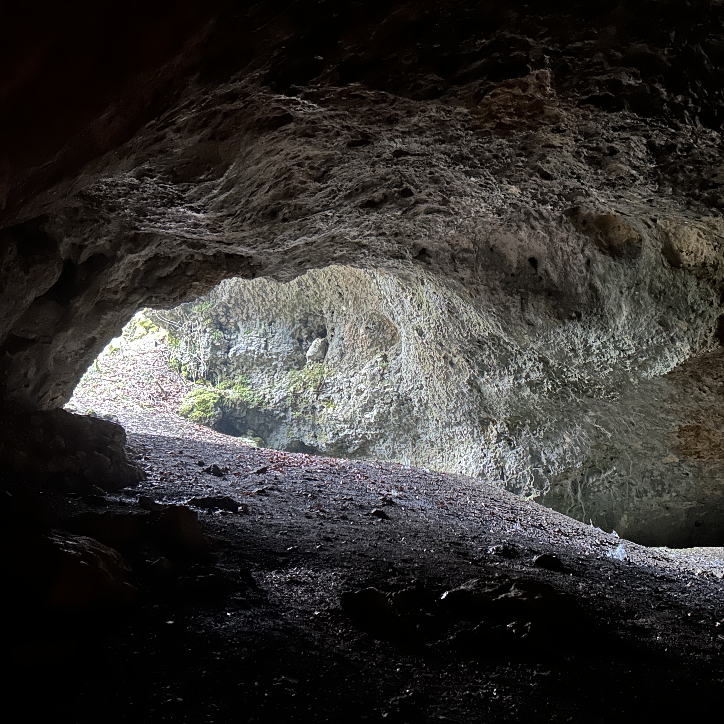 Höhle mit Blick zu Höhleneingang