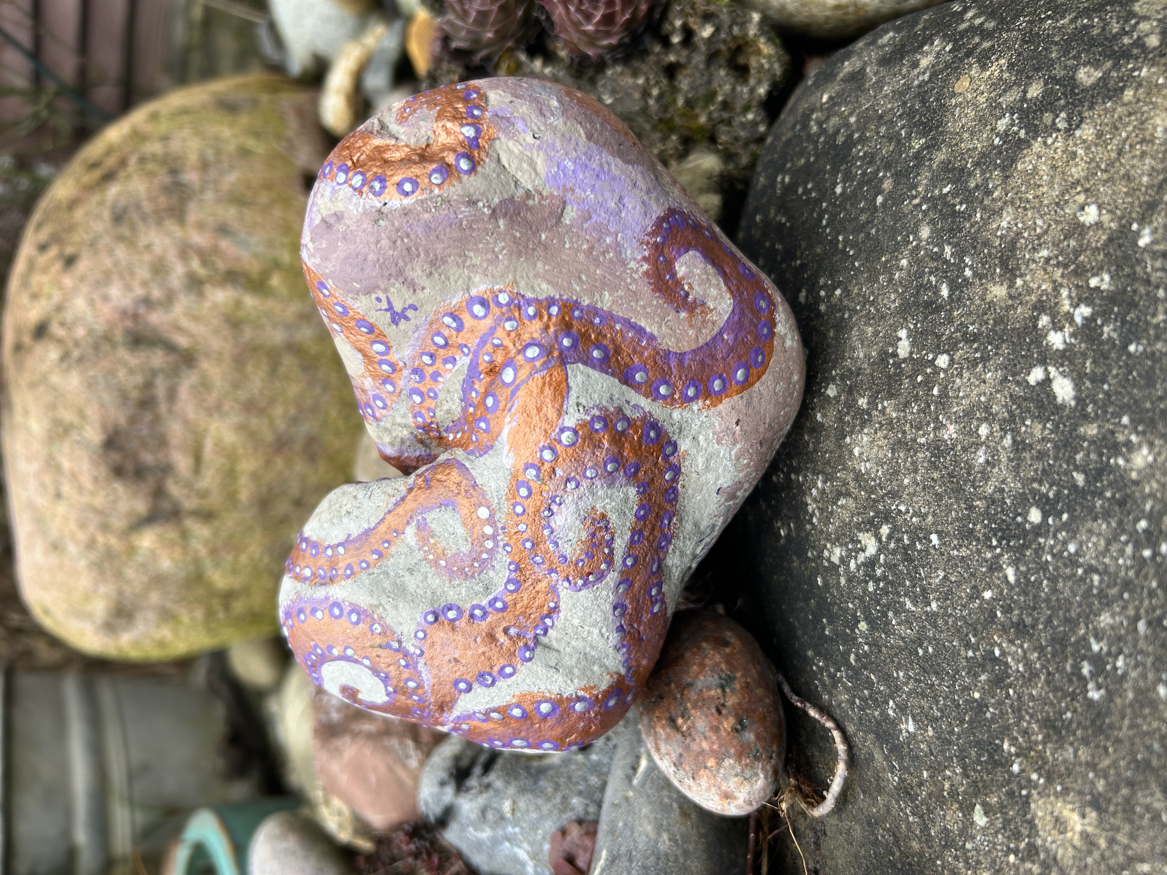 Heller Stein mit einem Oktopus bemalt auf Steinen und vor einem großen Stein liegend