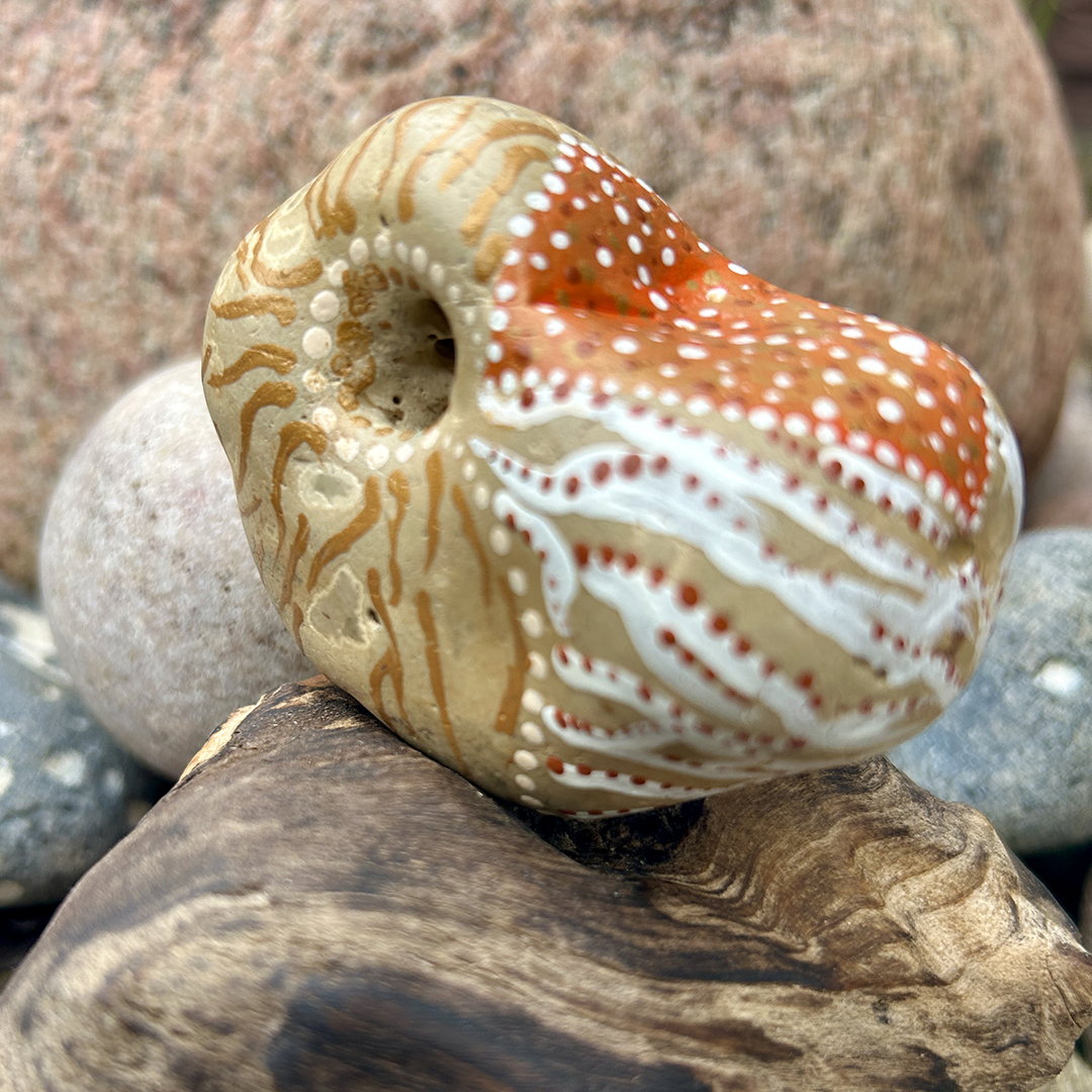 Bemalter Stein mit Nautilus