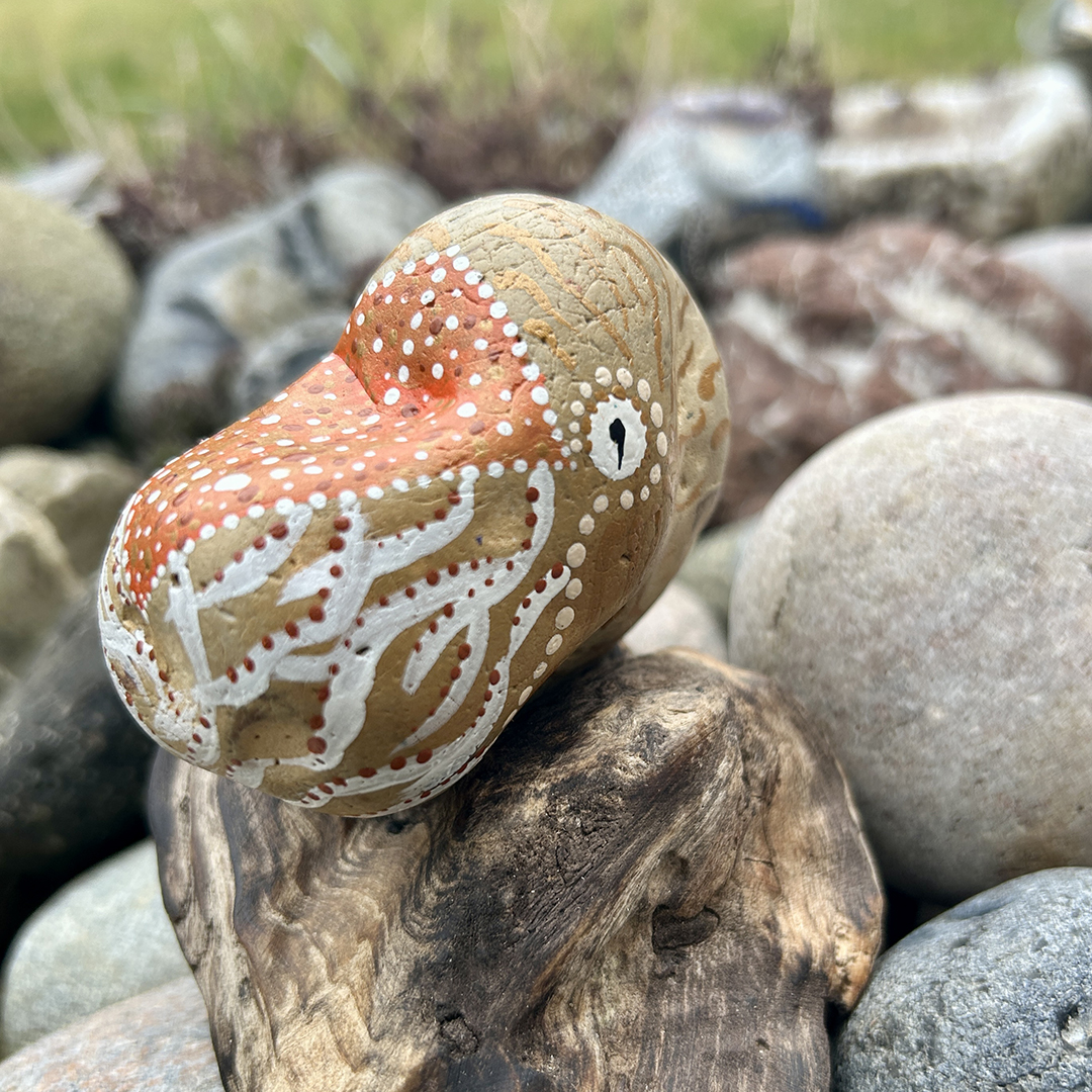 Bemalter Stein mit Nautilus seitlich