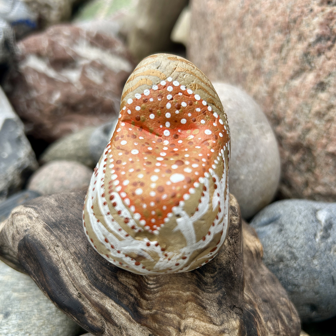 Bemalter Stein mit Nautilus von vorne