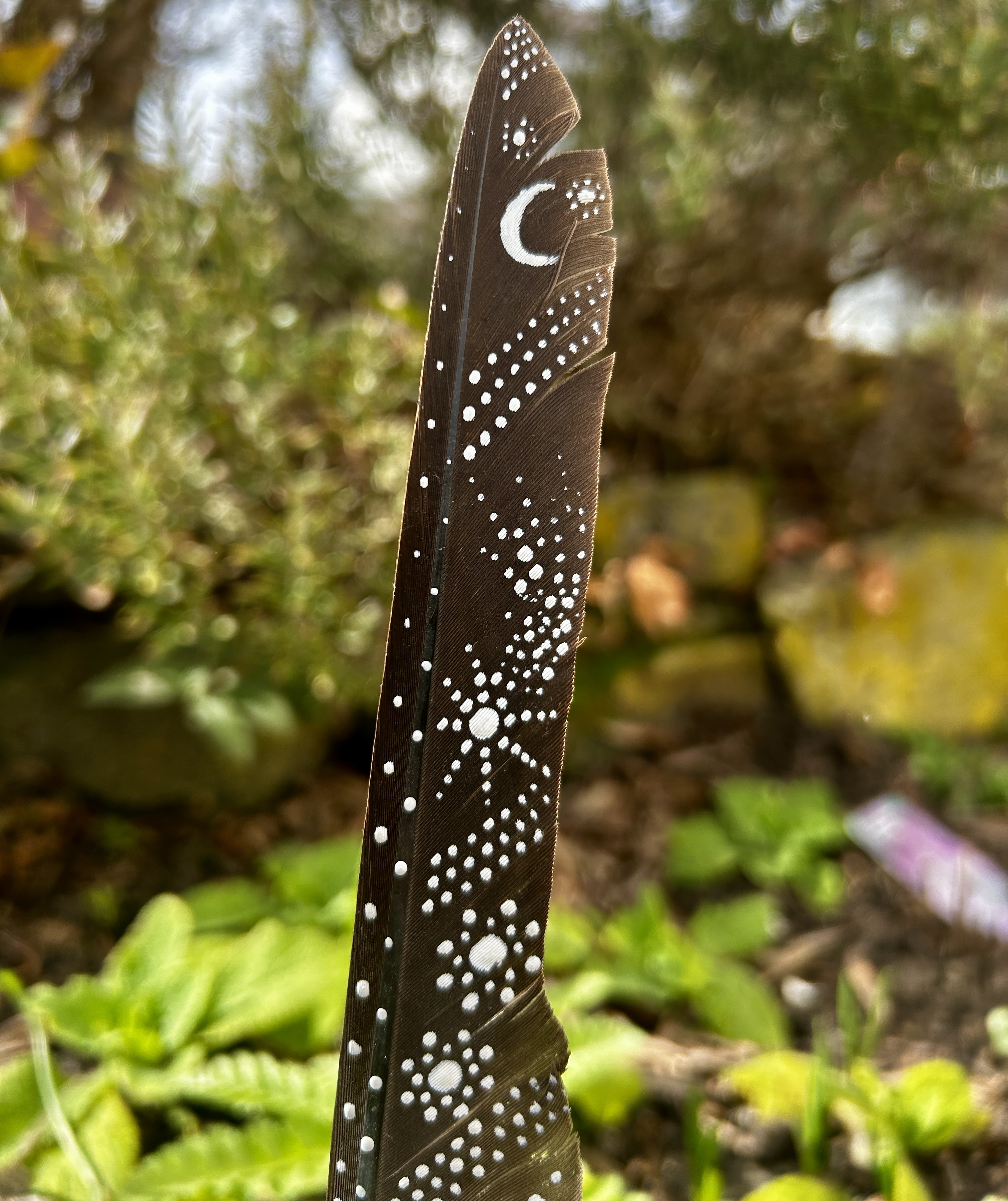 Eine bemalte Federn im Garten stehend in Silber gestaltet mit Sonne, Mond und Sternen