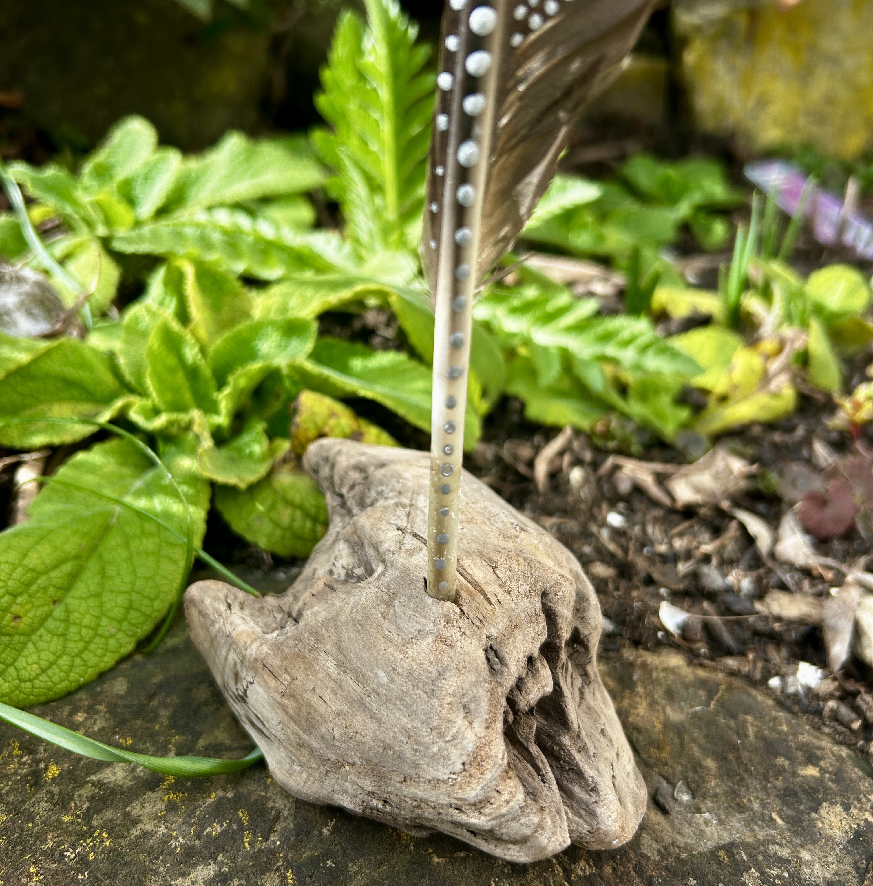 Der Stiel von einer Federn im Garten stehend in einem Ständer aus Treibholz