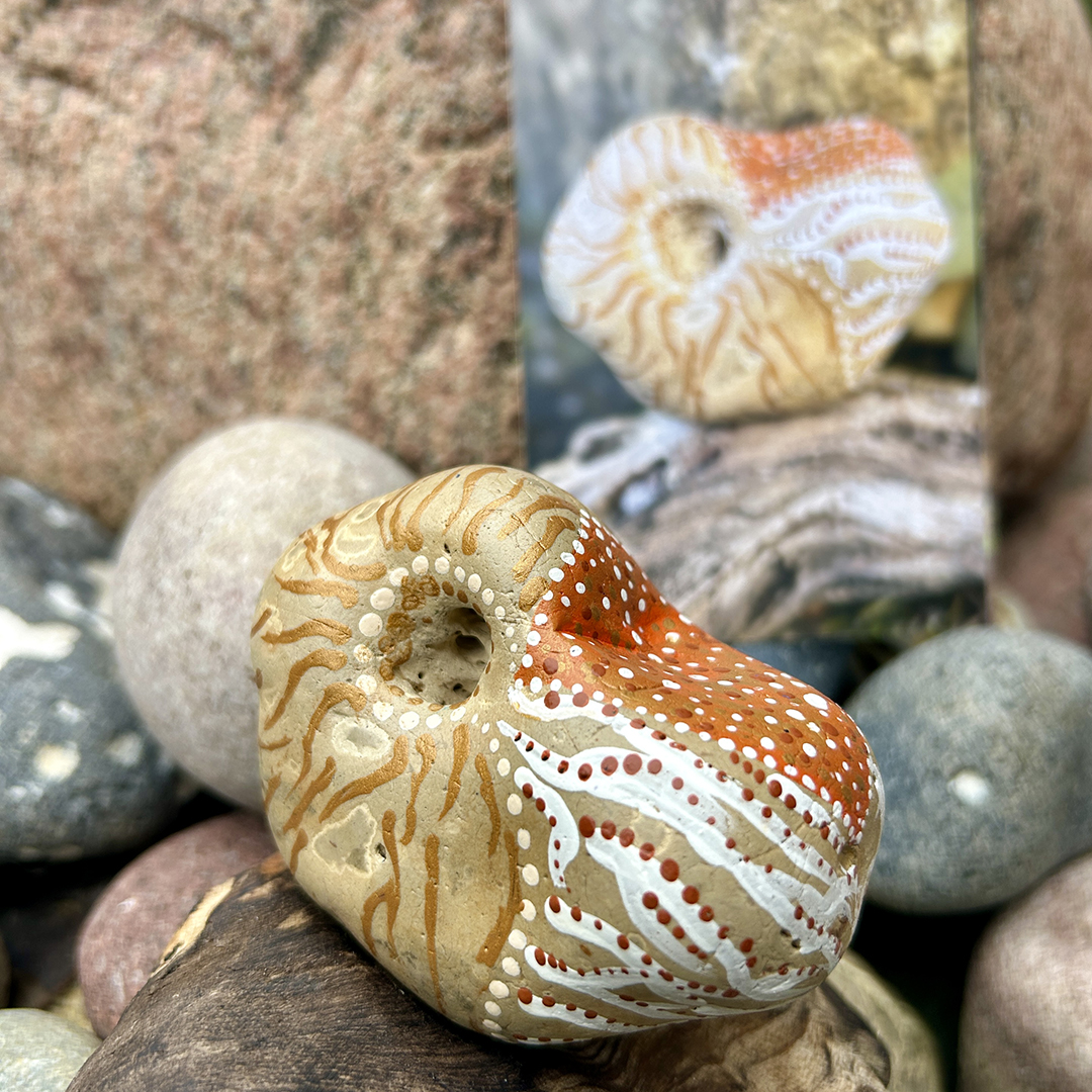 Bemalter Stein mit Nautilus mit Begleittext