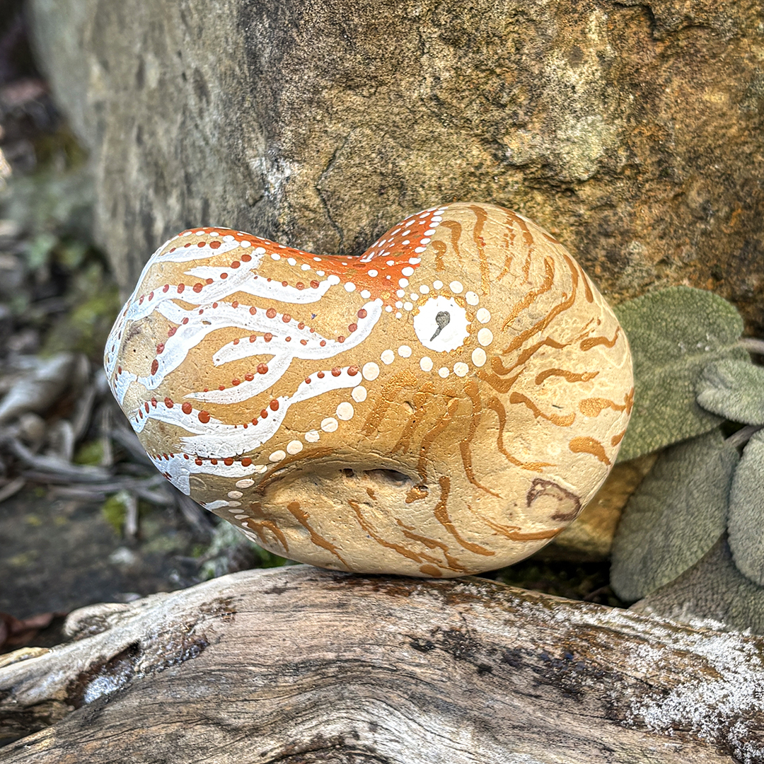 Bemalter Stein mit Nautilus seitlich