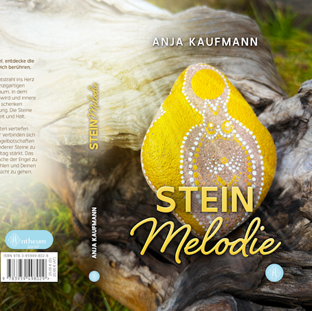 Einband Buch Steinmelodie