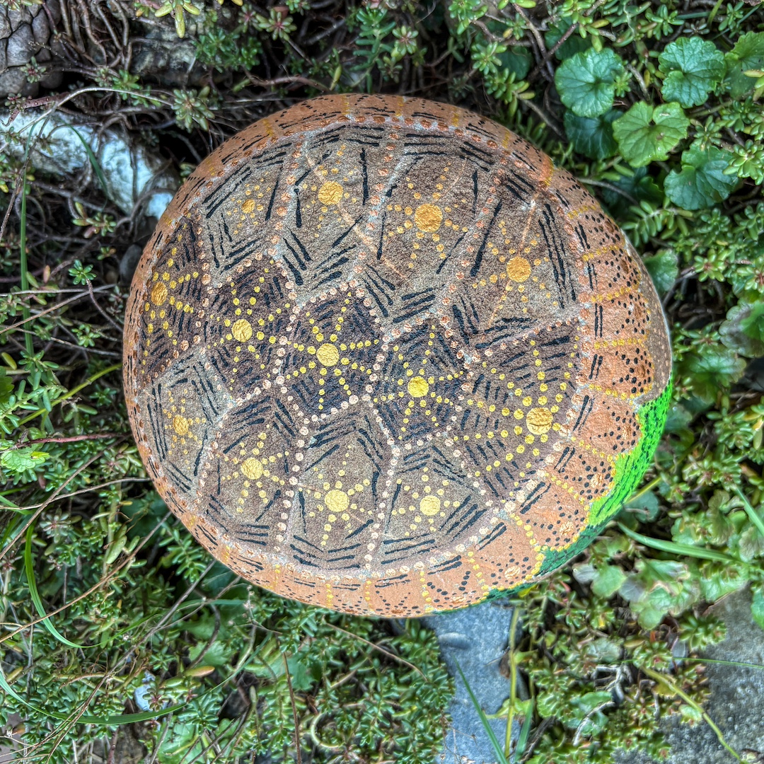 Stein mit Schildkröte bemalt auf Grünpflanzen liegend