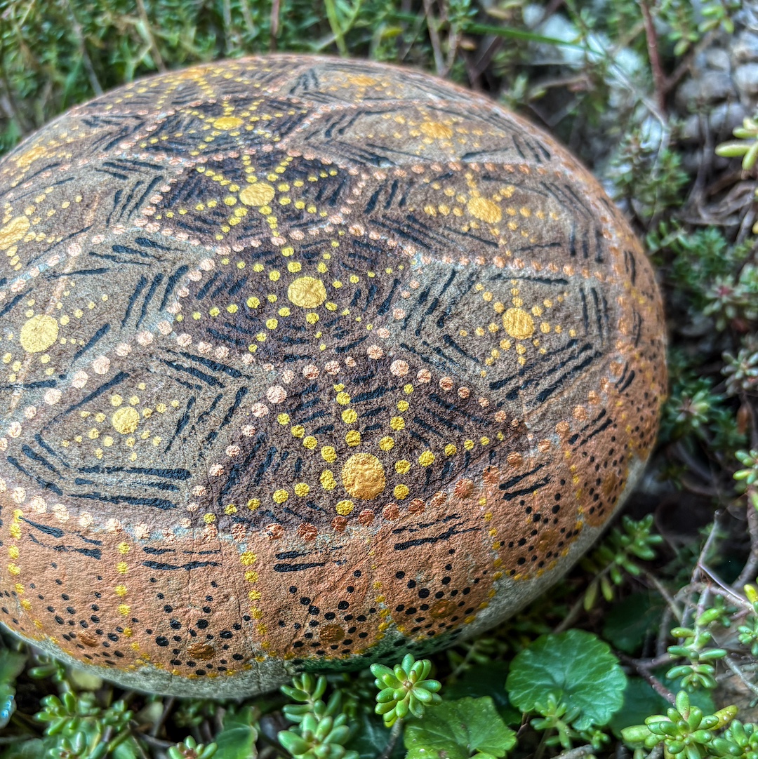 Stein mit Schildkröte bemalt auf Grünpflanzen liegend