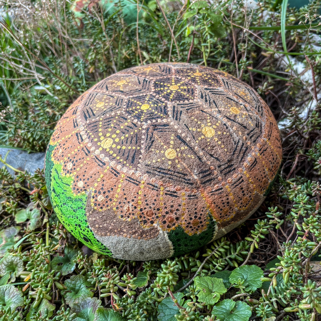 Stein mit Schildkröte bemalt auf Grünpflanzen liegend