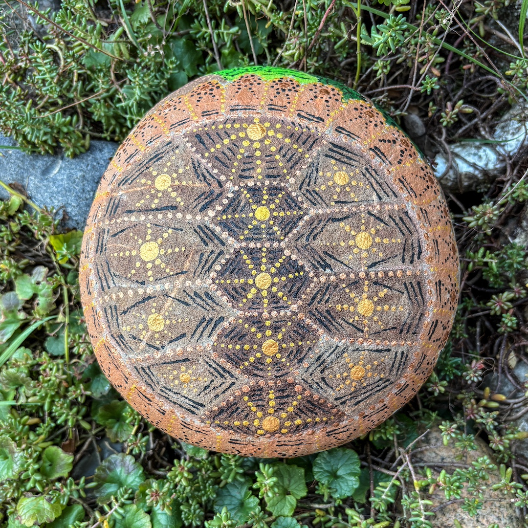 Stein mit Schildkröte bemalt auf Grünpflanzen liegend