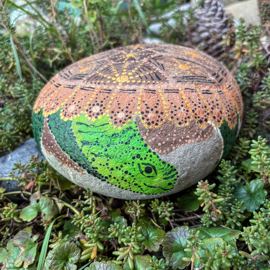 Stein mit Schildkröte bemalt auf Grünpflanzen liegend