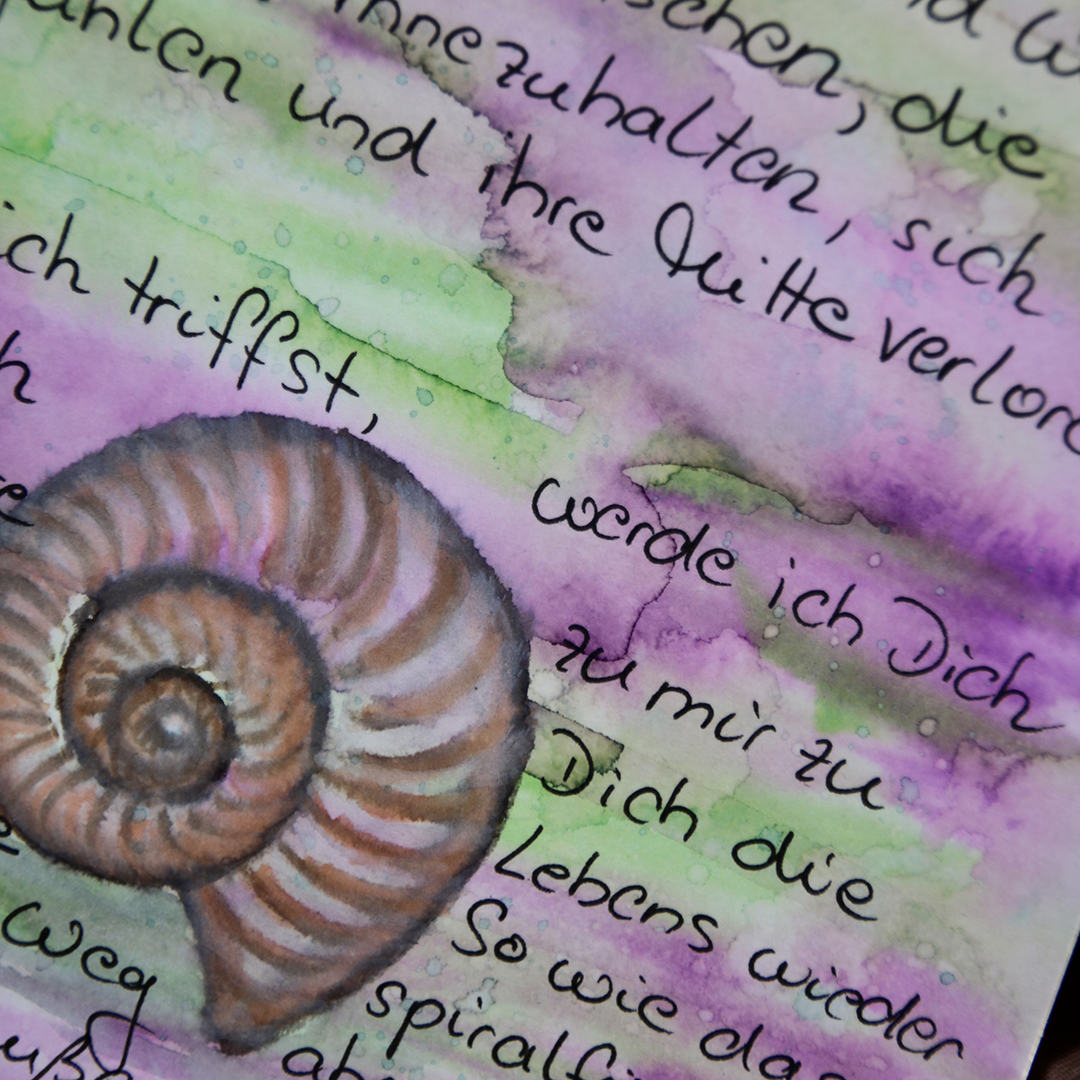 Aquarellbild mit Schneckenhaus und Text