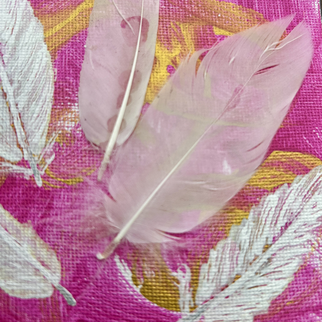 Acrylbild mit weißen Federn auf rosa Hintergrund Nahaufname